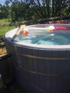 The Den at Husthwaite Gate - 3