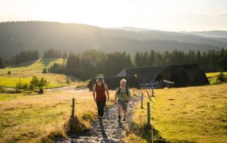 Ferienhaus Wendelhof - 1