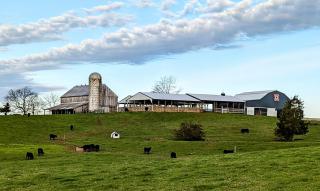 Haven Hill House - 20 Minutes to 15 Distilleries - Springfield - 6