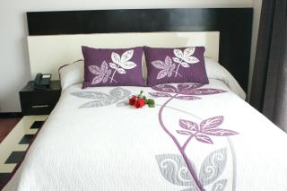 Hotel Cancalli Business & Suites - Tlaxcala de Xicohténcatl - 0