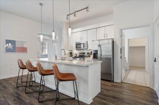 Texas Themed 2BR 2B Apt with Pool Parking and WIFI - 3