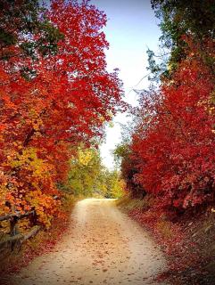 Quiet Canyon Starry Nights HappyOurs Ranch Bunk Family Home - 6