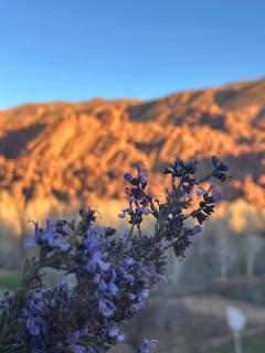 Canyon Dades Guest House - 9