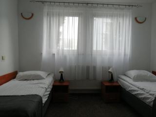 Hotel Dąbrowiak - 9