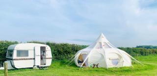 Stargazer Bell Tent - Northrepps - 2