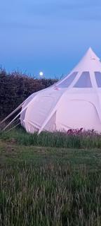 Stargazer Bell Tent - 1