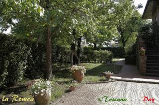 La Romea - Altopascio - 3