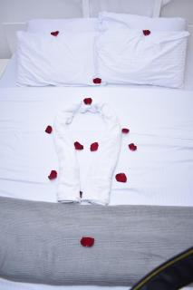 La Casa Di Nico Studio Lillies Hse 5 - 4