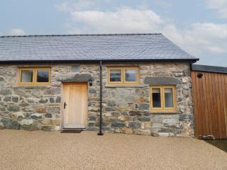 Yr Arenig - Bala - 0