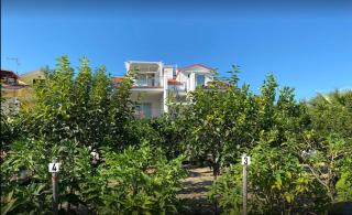 L'Orto di MiLa - Foce Varano - 0