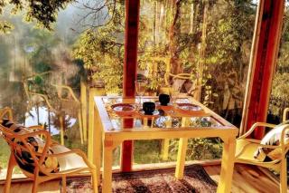 Quinta do Vale - Casa de Vidro 1: Lago, Piscina, Cascata, Paz - 6