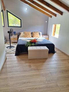 Au petit chalet de Dom - 0