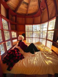 Haven Islands incredible treehouse on private island - 9