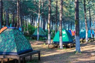 NZR KAmP - Serdivan - 2