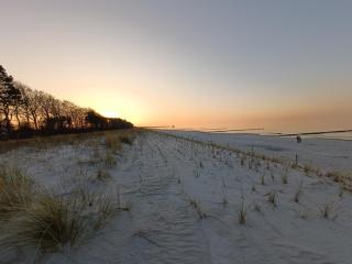 Ostseemeerchen - Zingst - 8