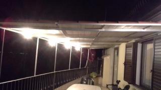 FioreRosa - 4