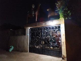 Gabawy Garden - ‘Ezbet Abu Ḥabashi - 6