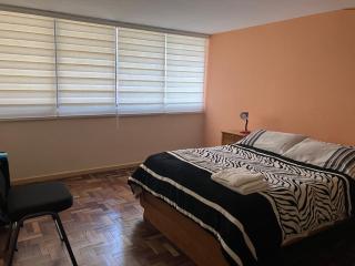 Céntrico apartamento - La Paz - 9