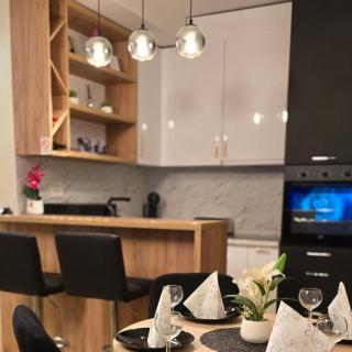 Apartman IVA LUX VRNJACKA BANJA - Vrnjačka Banja - 0