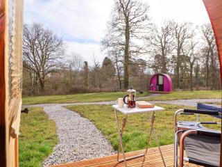 Pod 1 - St Asaph - 7