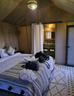 Infinity sahara camp - 4