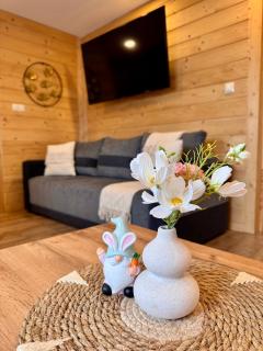 Jaworowe Izby Apartamenty z balią z hydromasażem - 5