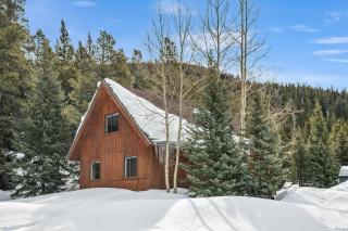 BlueRiver 3BD 2BA 10MI to Breck - 8