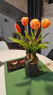Studio apartman Gradna - Samobor - 9