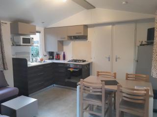 Mobilhome 4 pers La palmyre - Les Mathes - 8