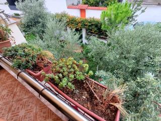 Guest room near historical center - Vlorë - 5
