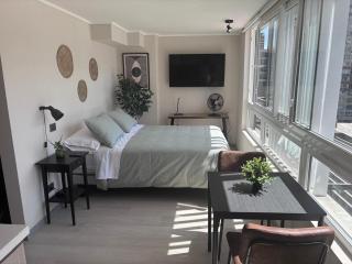 Chic Downtown Santiago Studio - Santiago - 0