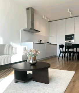 Apartmán IMAN with privat garage parking free, 5 minute walk to the center - 6