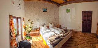 Pensiune turistica Milcov-VLADET - Predeal - 6
