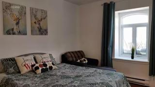 Cozy Suite #3 in the Heart of DT Quebec with QB - Quebeque - 6