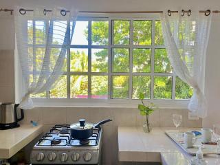 Perfect Place Cozumel - DIANA - 2