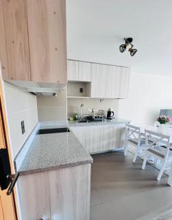 Departamento parque Víctor Lamas - Concepción - 5