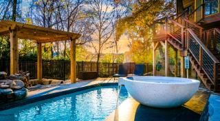 The Tree House in Bentonville - Bentonville - 4