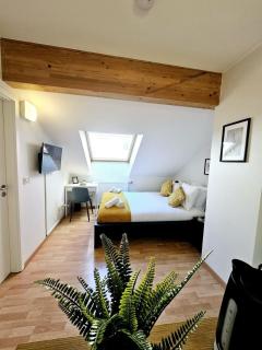 Compact Studio in Luxembourg-Limp17B - Lussemburgo - 9