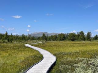 Modern Mountain Cabin - 3 Bedrooms - Sleeps 7 - Torpo - 0