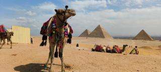 T2 pyramids View - Cairo - 2
