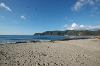 Lacona - Lacona - 6
