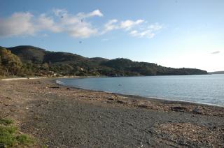 Lacona - 8