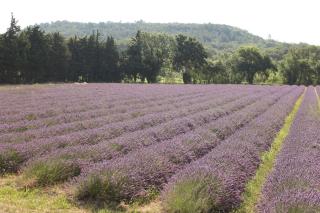 Charmant studio entre Drôme Provençale et Ardèche - Allan - 8