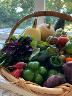 Cottage by the Lake, Hudson Valley/ love pets - 1