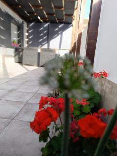 apartment la Miel - Benalmádena - 3