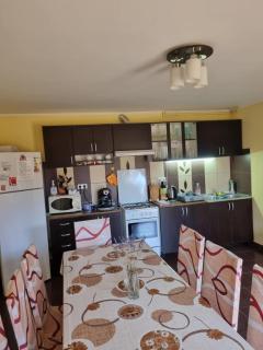 Casa Monika Ciocarliei - 7