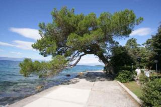 Apartments in Malinska/Insel Krk 14366 - Malinska - 6