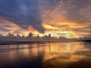 Awarded No Footprint House on Matapalo Beach - Savegre - 1