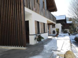 Schneeglöckchen - Hinterthal - 1