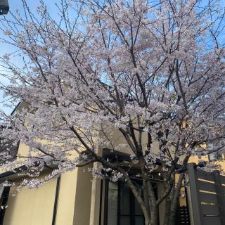 Kyoto - House - Vacation STAY 18133 - Iwakura - 9